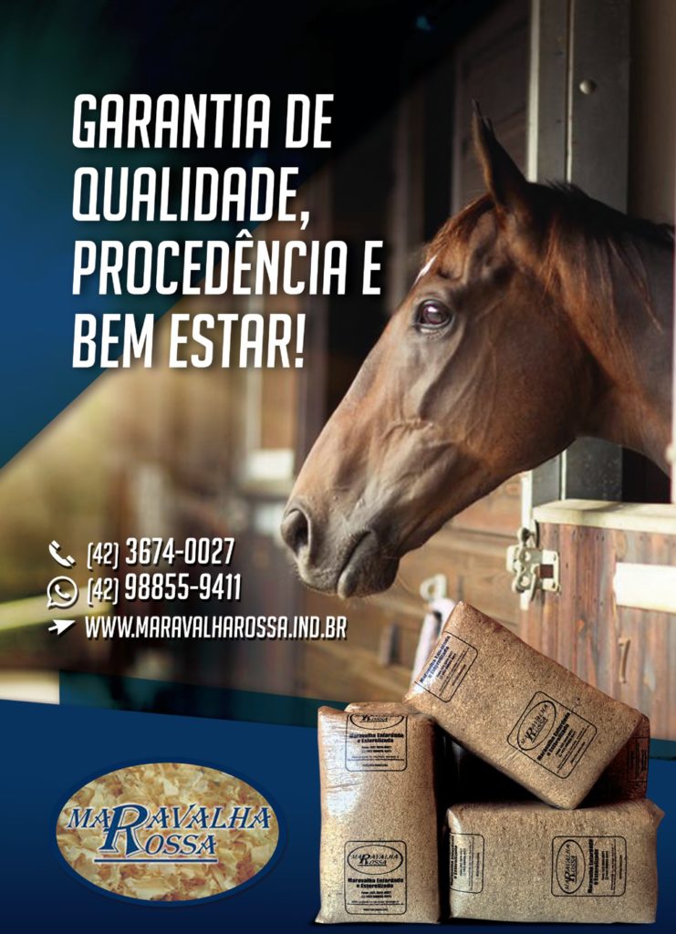 A cama de seu cavalo merece cuidados especiais – Maravalha Rossa